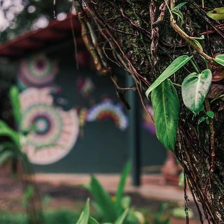 Nowhere Bocas Town Exterior foto